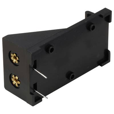 Ein schwarzes, rechteckiges elektronisches Bauteil mit zwei sichtbaren Anschlusspins und goldenen Schraubenköpfen auf der Seite.