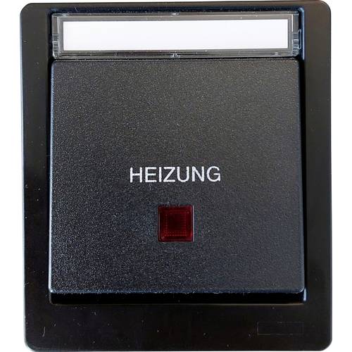 N & L 27614 Heizungs-Notschalter Komplett Aufputz Schwarz 1 St.