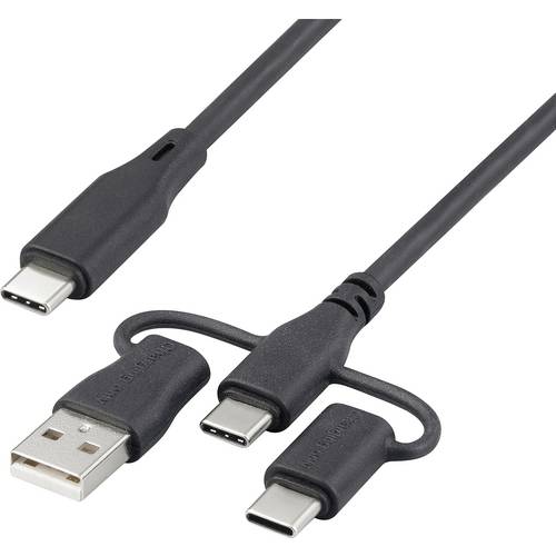 Thumbnail - Renkforce USB-Ladekabel USB 2.0 USB-C® 0.50 m Schwarz RF-6615906