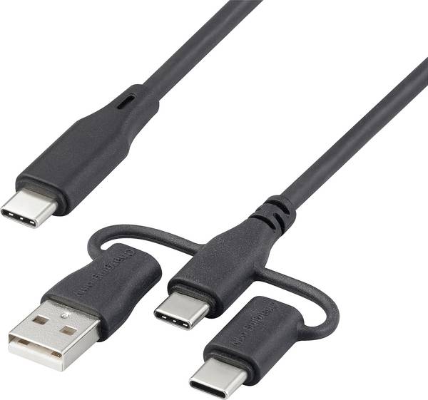 Renkforce USB-Ladekabel USB 2.0 USB-C® 3.00 m Schwarz RF-6615910