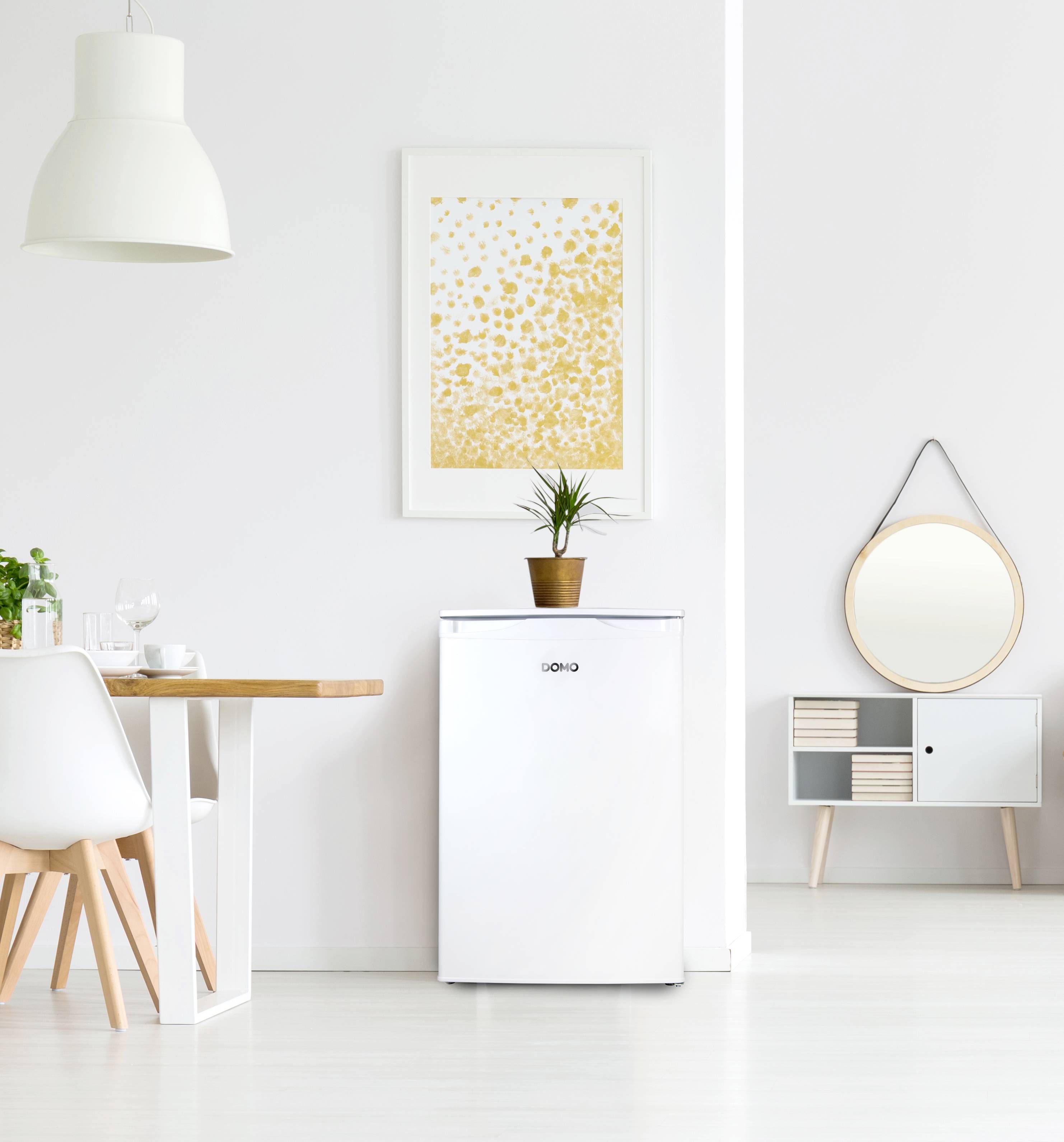 Ein moderner, minimalistischer Essbereich mit weißem Kühlschrank, Kunstpflanze darauf, Esstisch mit Stühlen und Wandspiegel.