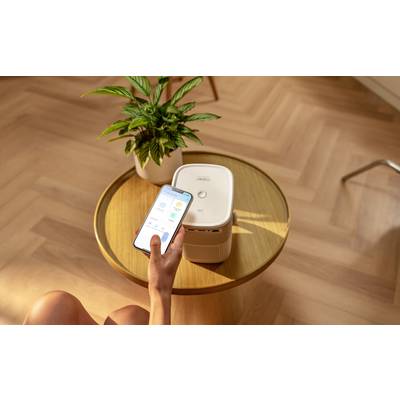 Person steuert über Smartphone einen Luftreiniger auf einem runden Tisch. Neben dem Gerät steht eine grüne Pflanze.