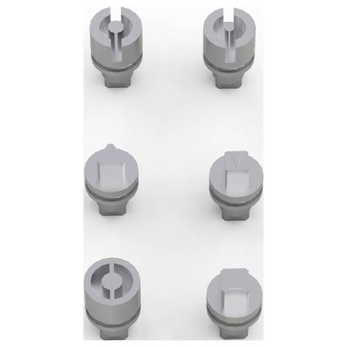 nVent HOFFMAN LI524 LI524 Schlosseinsatz 1 St.