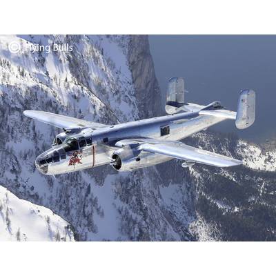 Ein silbernes zweimotoriges Flugzeug fliegt über schneebedeckte Berge und einen See. Handelsname oben links: 'Flying Bulls'.