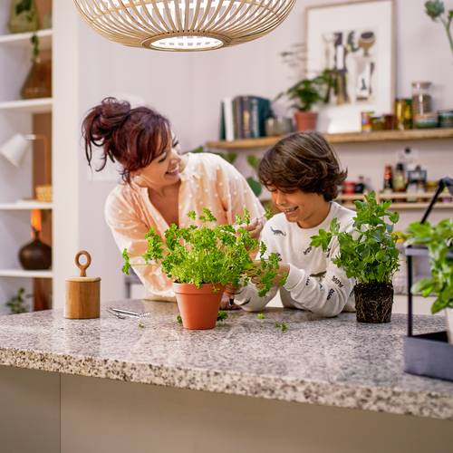 Thumbnail - Philips 8720169300972 Fleta LED-Deckenleuchte LED 10 W Transparent