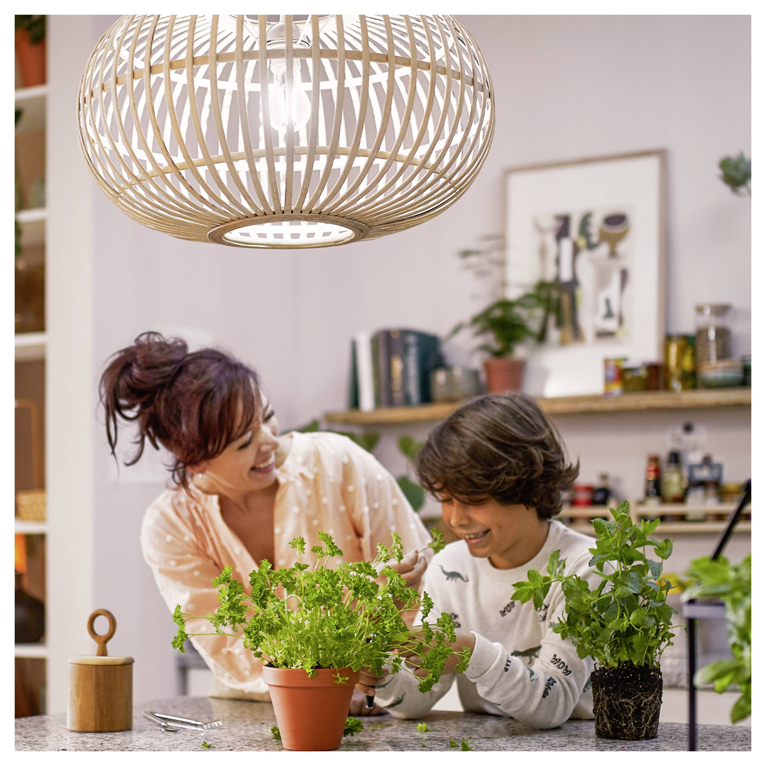 Frau und Junge lächeln, während sie drinnen gärtnern und Topfkräuter auf einer Küchentheke unter einer hängenden Lampe pflegen.