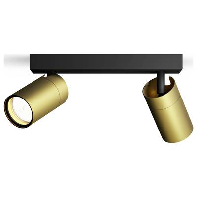 Eine schwarze Deckenleuchte mit zwei goldenen, verstellbaren Strahlern. Ideal für modernes Innendesign und gezielte Beleuchtung.