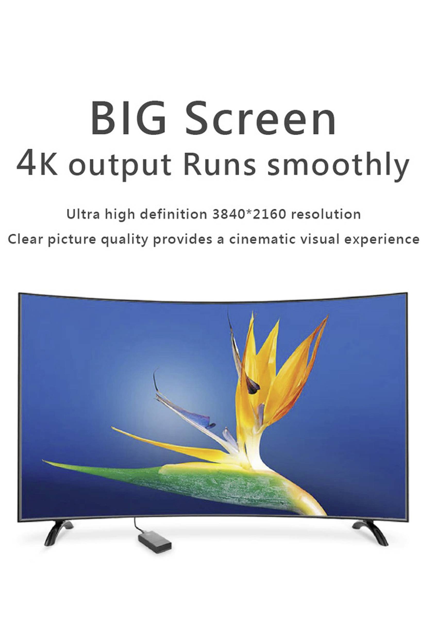 Ein großer Fernseher mit gebogenem Bildschirm zeigt eine scharfe 4K-Auflösung. Der Bildschirm zeigt eine tropische Blüte.