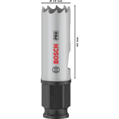 'BOSCH PRO' Lochsäge, Durchmesser 19 mm, Länge 44 mm, mit gezahntem Rand, geeignet für professionelle Anwendungen im Werkzeugbereich.