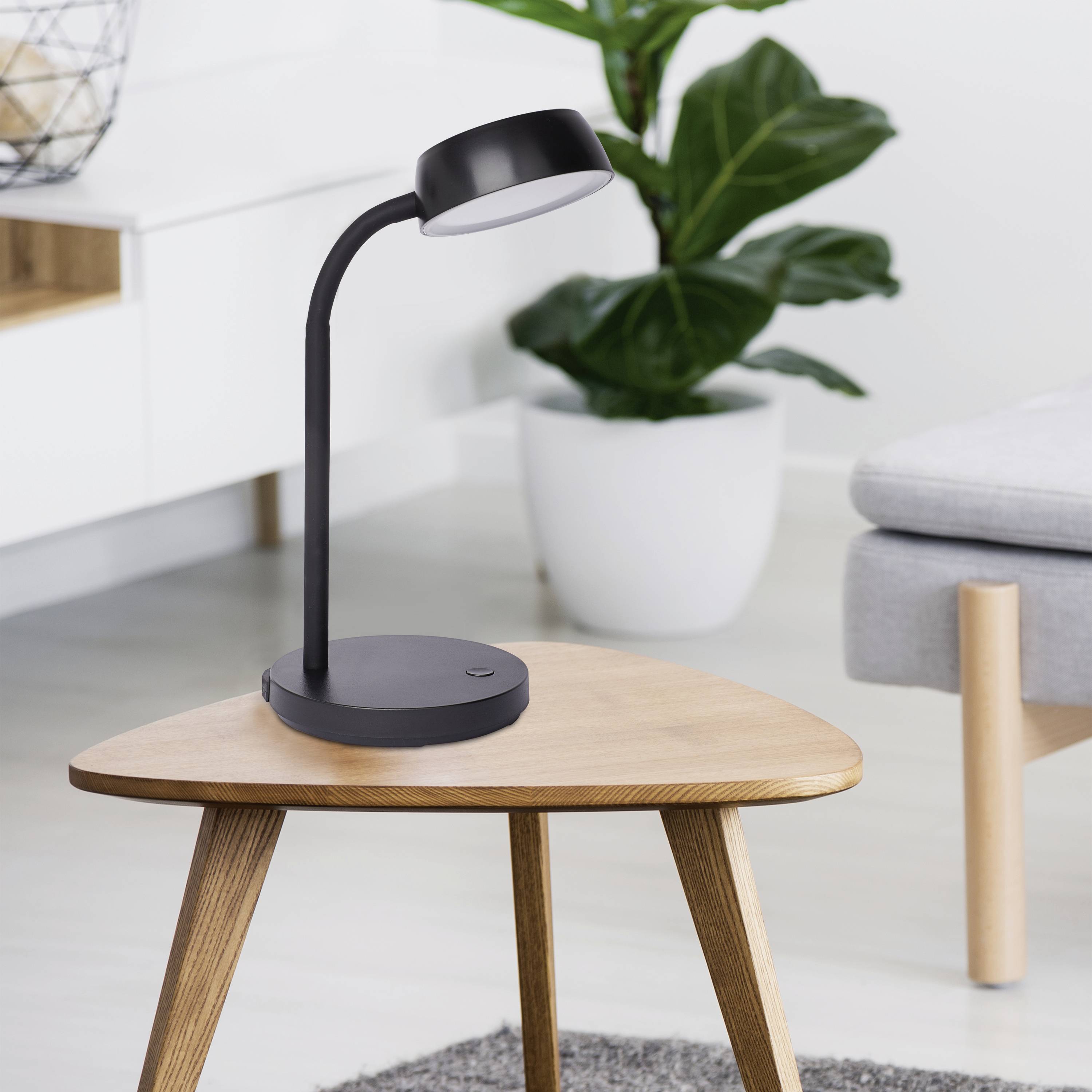 Schwarze Tischlampe auf kleinem Holztisch, neben grauem Sofa und großer Topfpflanze in modernem Wohnzimmer.