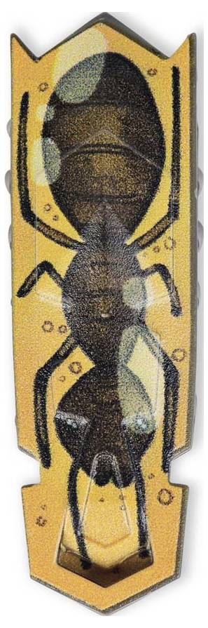 Gemälde einer großen schwarzen Ameise auf einem orangefarbenen Hintergrund, umgeben von Kreisen, die Bewegung darstellen könnten.