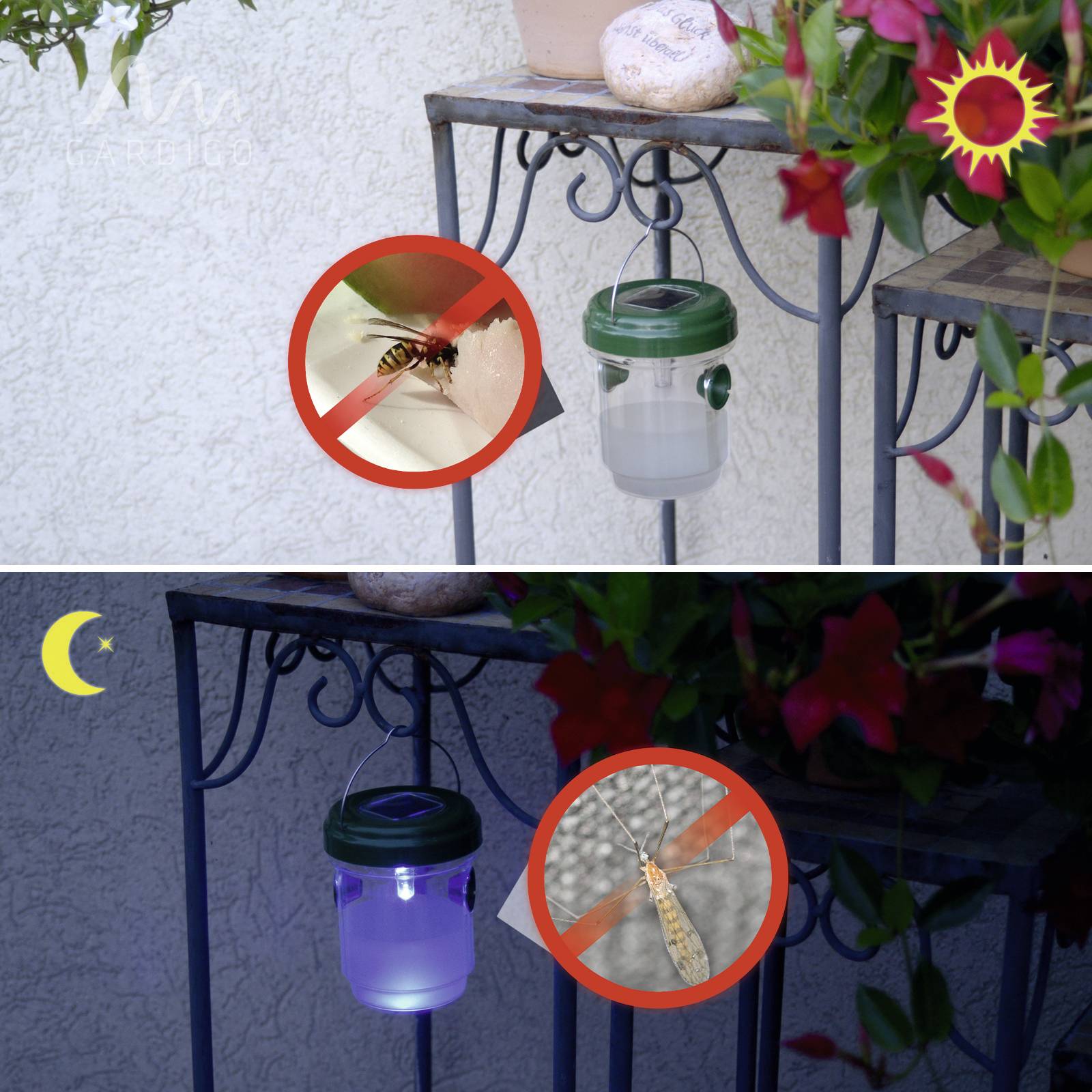 Oben: Mückenfalle zeigt gefangene Mücke bei Tageslicht. Unten: Falle bei Nacht mit Licht, zeigt gefangenes Insekt.