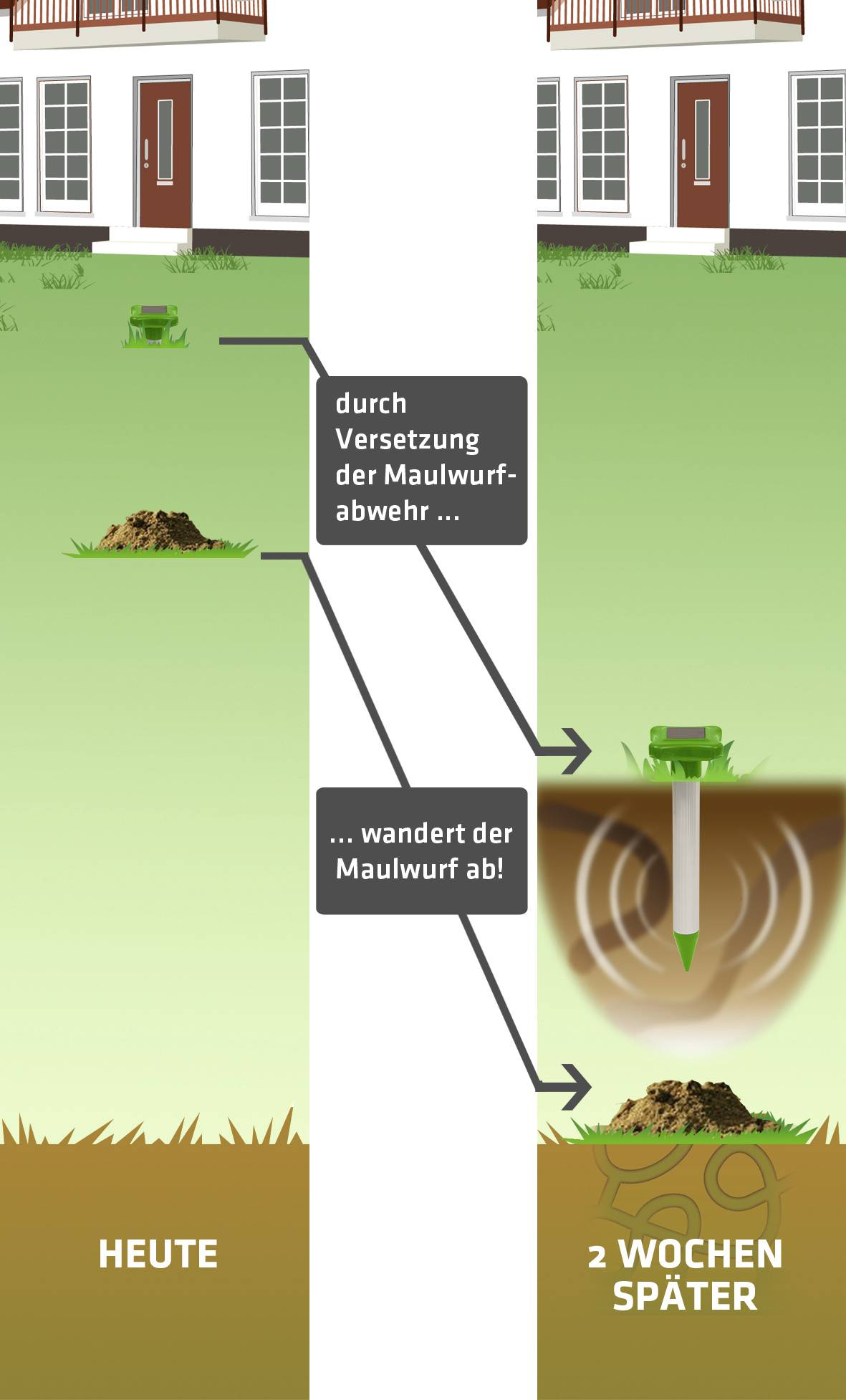 'Ein Diagramm zeigt den Effekt eines Maulwurfabwehrgeräts. Links: Heute, ein Maulwurfshügel. Rechts: 2 Wochen später, kein Hügel.'
