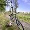Ein Mountainbike steht auf einem Waldweg. Im Hintergrund sind Bäume und blauer Himmel zu sehen. Links führt der Weg in den Wald.