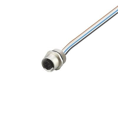 Ein Kabel mit metallischem Stecker und mehreren farbigen Drähten ragt aus einem schwarzen Hintergrund heraus.