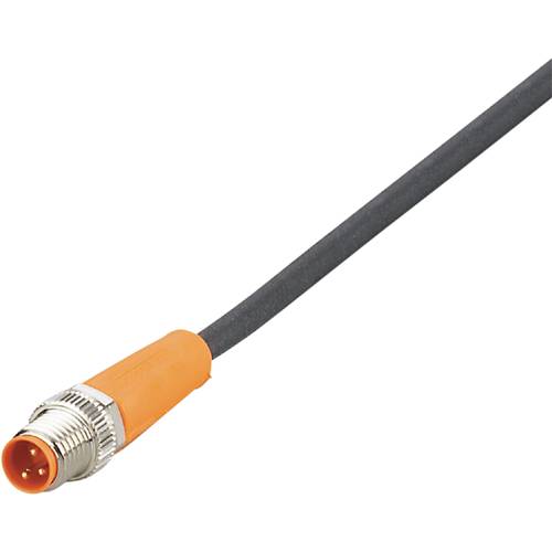 Thumbnail - ifm Electronic EVC701 Verbindungsleitung Stecker, gerade 2.5 m Polzahl Sensoren: 3 1 St.