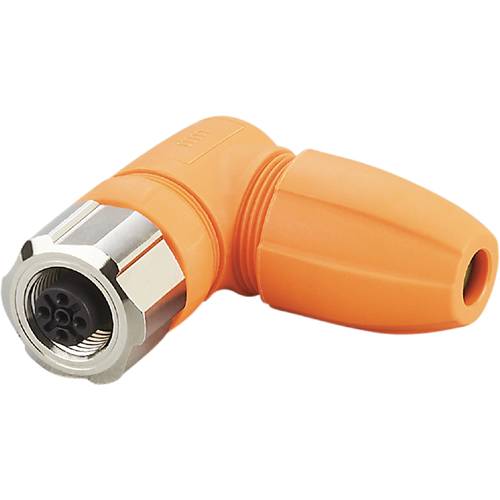 ifm Electronic EVC811 Sensor-/Aktor-Steckverbinder, unkonfektioniert Buchse, gewinkelt Polzahl Sensoren: 5 1 St.