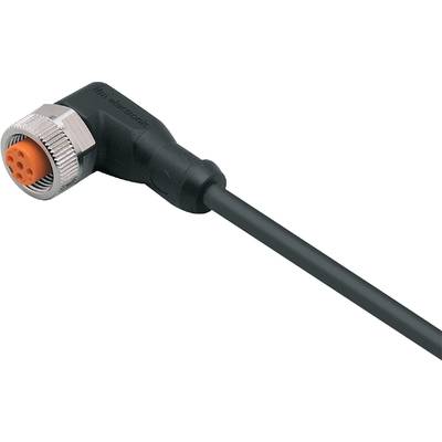 Ein schwarzer Kabelstecker mit Winkelanschluss, Teil eines elektronischen Geräts.