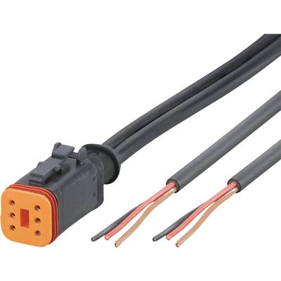 Ein schwarzer elektrischer Stecker mit drei Kupferdrähten, die aus der Öffnung verlaufen. Der Stecker hat sechs Kontakte.