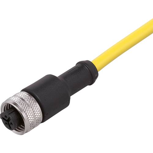 ifm Electronic E11661 Anschlussleitung Buchse, gerade 10 m Polzahl Sensoren: 3 1 St.