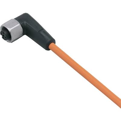 'Kurzes orangefarbenes Kabel mit abgewinkeltem schwarzem Stecker.'