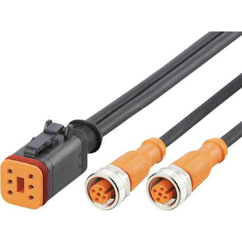 ifm Electronic E12562 Verbindungsleitung Buchse, gerade 2 m Polzahl Sensoren: 6 1 St.