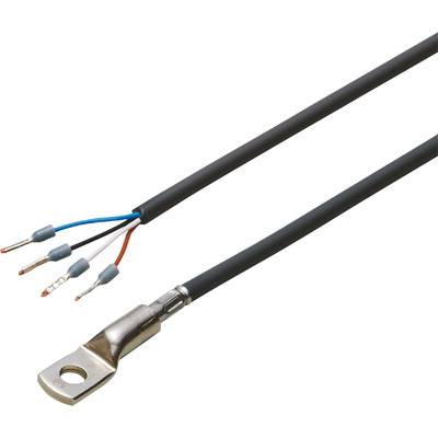 Ein Kabel mit abisolierten Enden und einer Metallöse zur Befestigung, geeignet für elektrische Verbindungen oder Reparaturen.