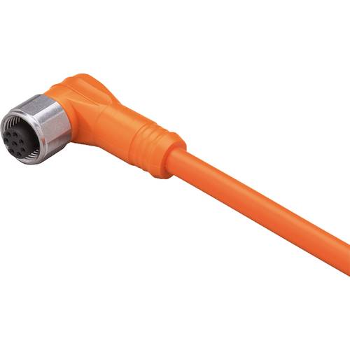 ifm Electronic E12296 Anschlussleitung Buchse, gewinkelt 10 m Polzahl Sensoren: 8 1 St.