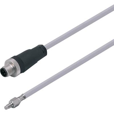 Ein graues elektrisches Kabel mit einem Metallstecker und einem schwarzen Isolationsstück.