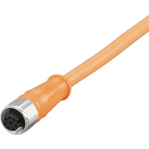 ifm Electronic E12409 Anschlussleitung Buchse, gerade 70 m Polzahl Sensoren: 8 1 St.