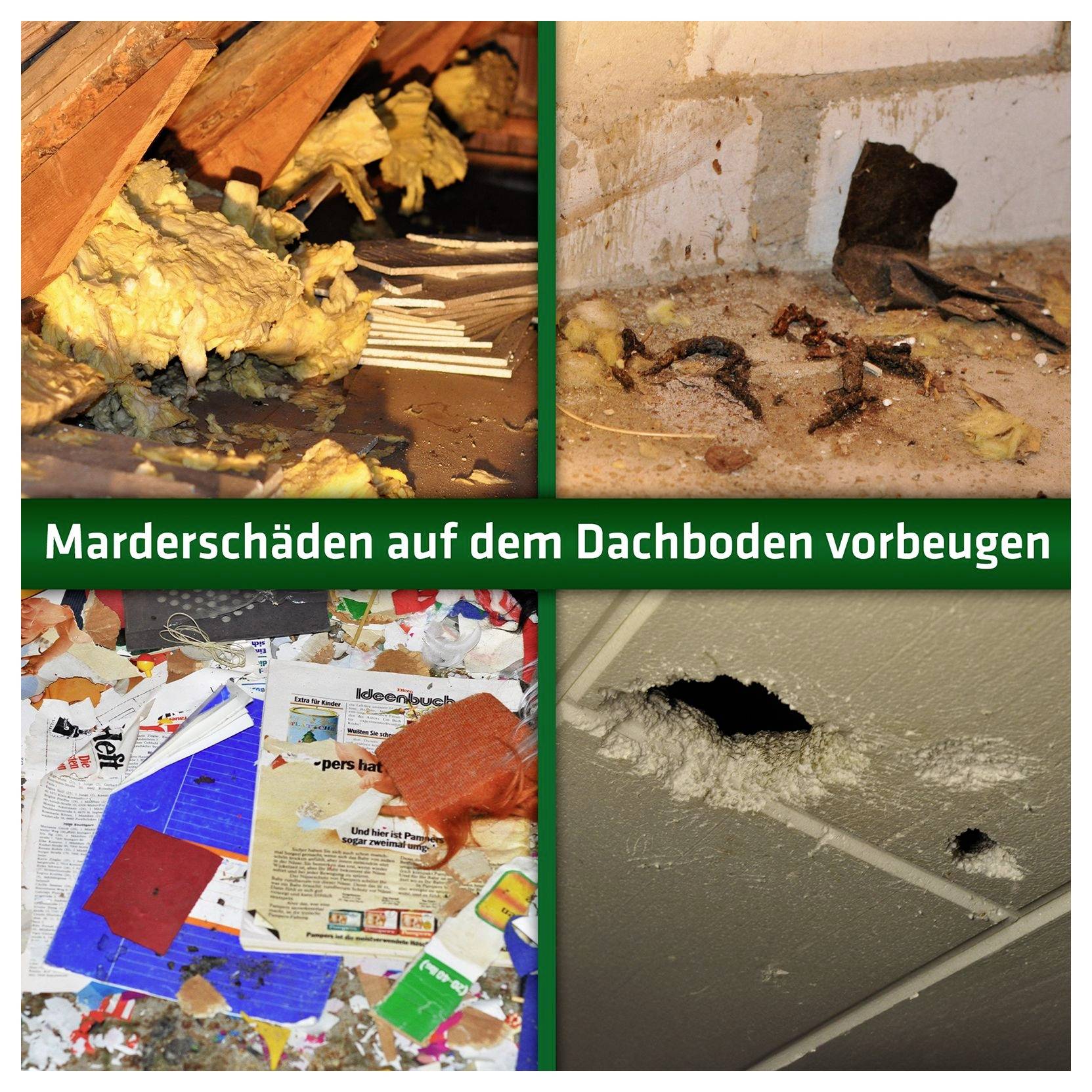 Gardigo 60036INT Marderabwehr 1 St.-5