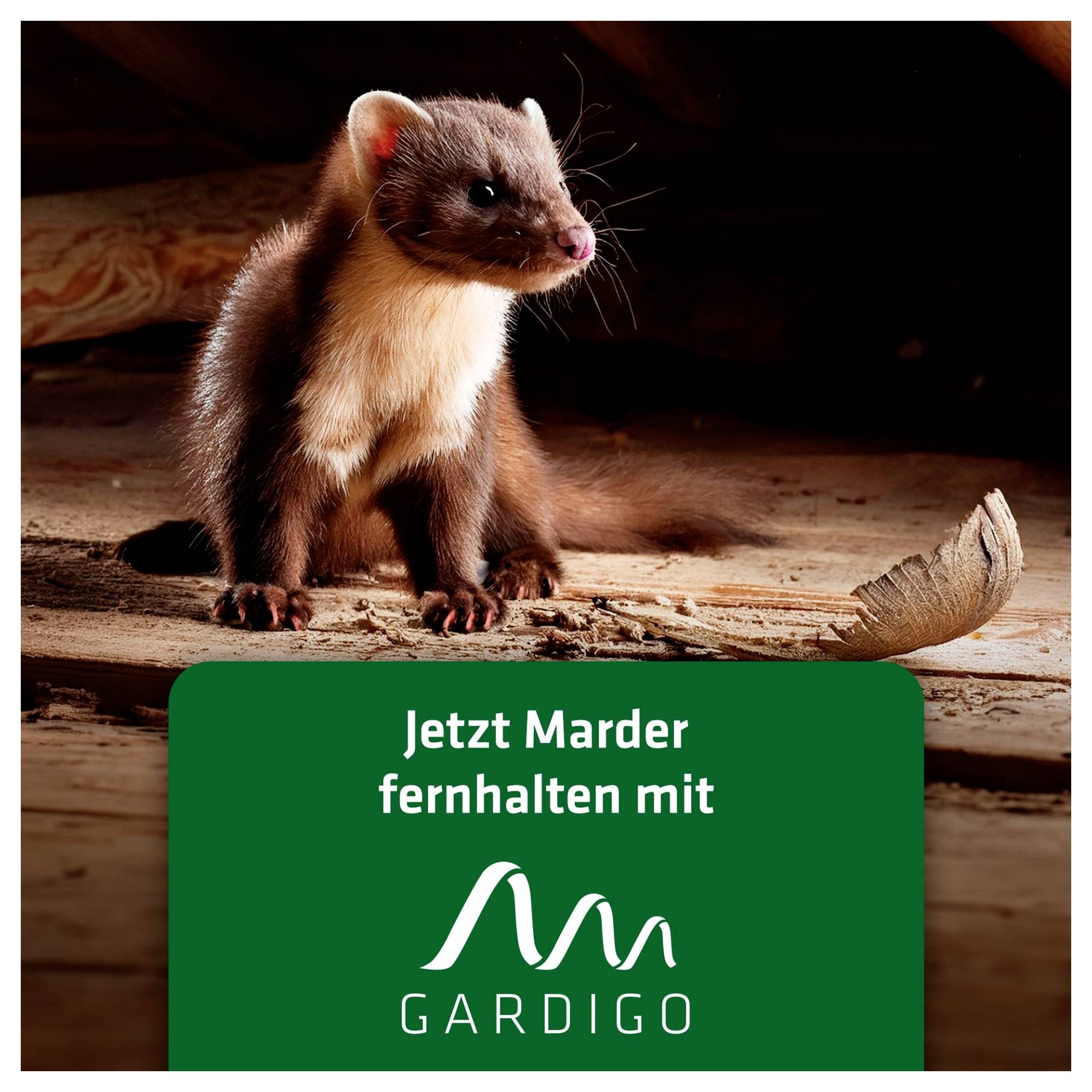 Gardigo 60036INT Marderabwehr 1 St.-7