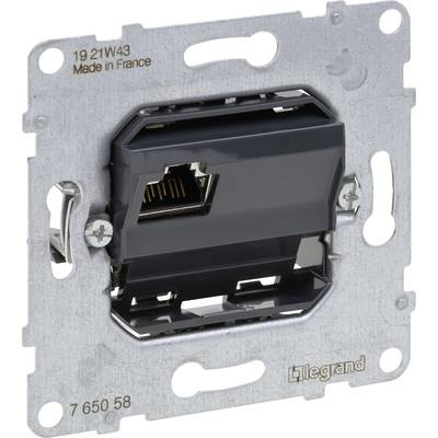 Ein Ethernet-Wandsteckdoseinsatz mit RJ45-Anschluss aus Metall, hergestellt in Frankreich. Marke 'Legrand'.