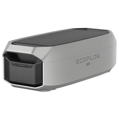 Ein tragbarer EcoFlow-Akkugenerator in silberner Farbe. Ideal für den Einsatz unterwegs oder bei Stromausfällen.