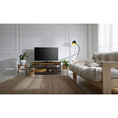 Ein modernes Wohnzimmer mit einem Sofa, einem Fernseher auf einem Holzständer und mehreren Pflanzen. Sanfte Beleuchtung von einer Stehlampe.