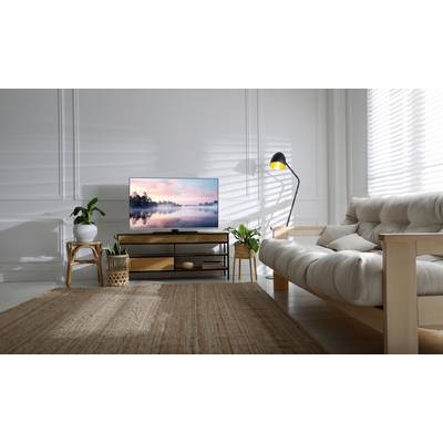 Wohnzimmer mit einem Sofa, TV, Topfpflanzen und Stehlampe. Der Fernseher zeigt eine ruhige Landschaft. Helle, moderne Einrichtung.