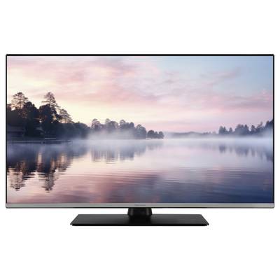 Ein Fernseher zeigt ein friedliches Landschaftsbild mit einem See und nebligen Bäumen im Sonnenaufgang.