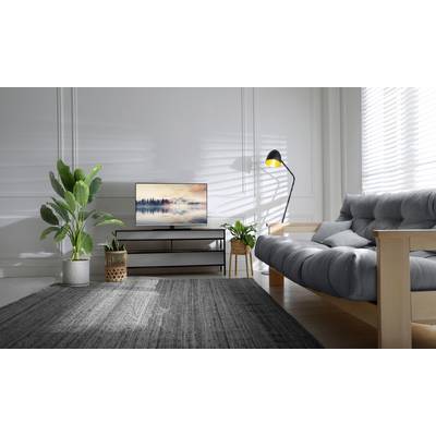 Ein Wohnzimmer mit modernem Sofa, Teppich, Pflanzen und einem Flachbildfernseher auf einem Regal. Die Beleuchtung ist gemütlich.