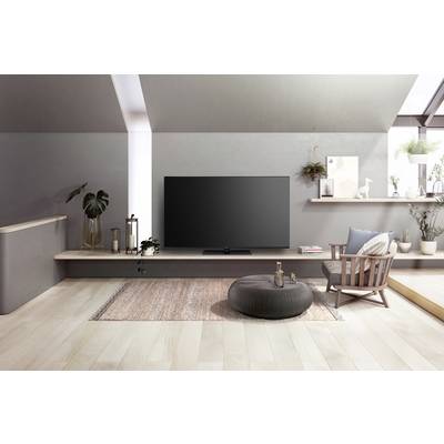 Ein moderner, minimalistischer Wohnraum mit einem Flachbildfernseher auf einem Regal, Pflanzen, einem Sessel und einem Pouf auf einem Teppich.