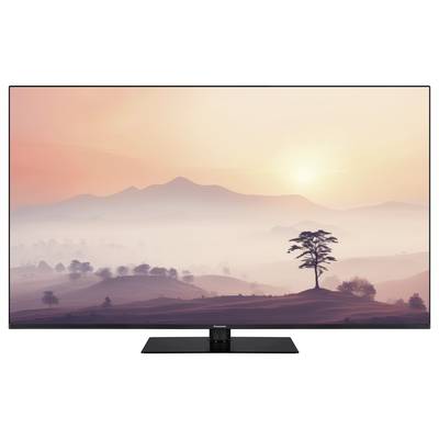 Ein Fernseher zeigt eine Landschaft bei Sonnenuntergang mit Bergen im Hintergrund und einem einzelnen Baum im Vordergrund.