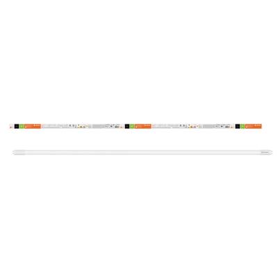 Verpackung und LED-Röhre von Philips 'CorePro LEDtube', T8 Form, 14,3W, äquivalent zu 36W Leuchtstoffröhre, warmweißes Licht.