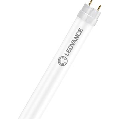 LED-Röhre mit der Aufschrift 'LEDVANCE', weißer Hintergrund, Metallstifte sichtbar.