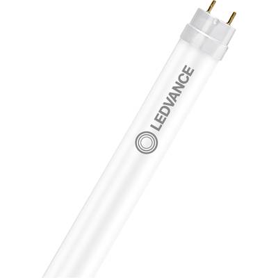 Weiße LED-Röhre mit der Aufschrift 'LEDVANCE' und Logo, zwei goldene Pins am Ende, vor weißem Hintergrund.