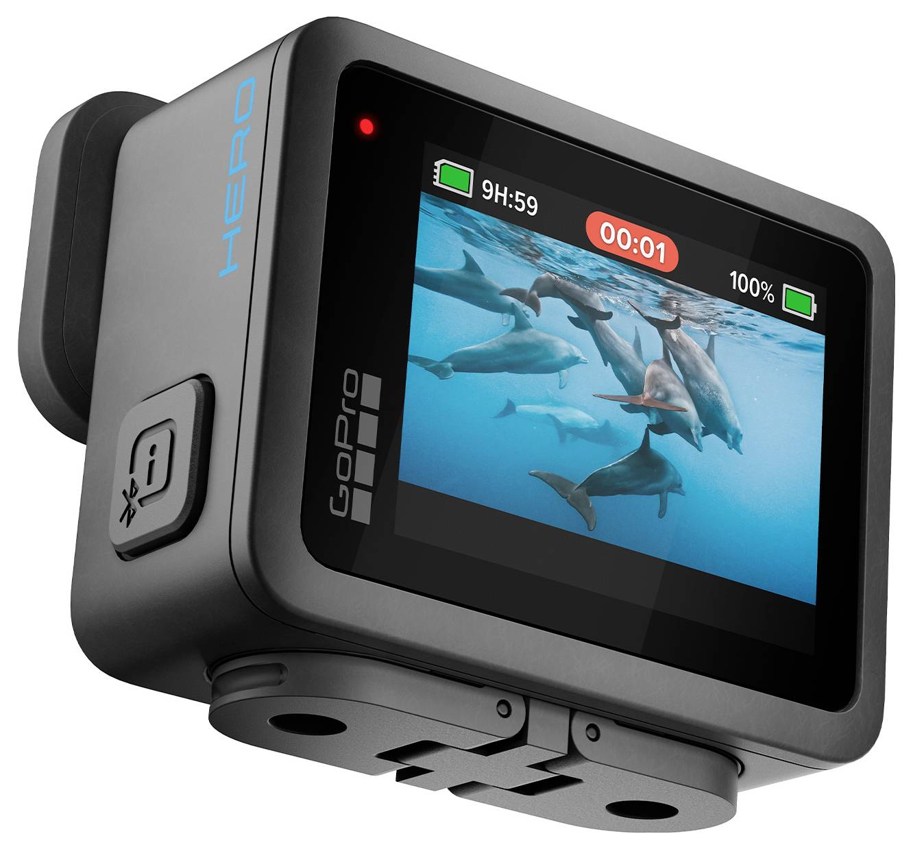 Eine schwarze Kamera mit Display zeigt ein Bild von schwimmenden Delfinen, Aufnahmezeit von 9H:59 und Akkustand bei 100%.