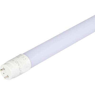 Eine weiße LED-Röhre mit zwei Metallkontakten an einem Ende.