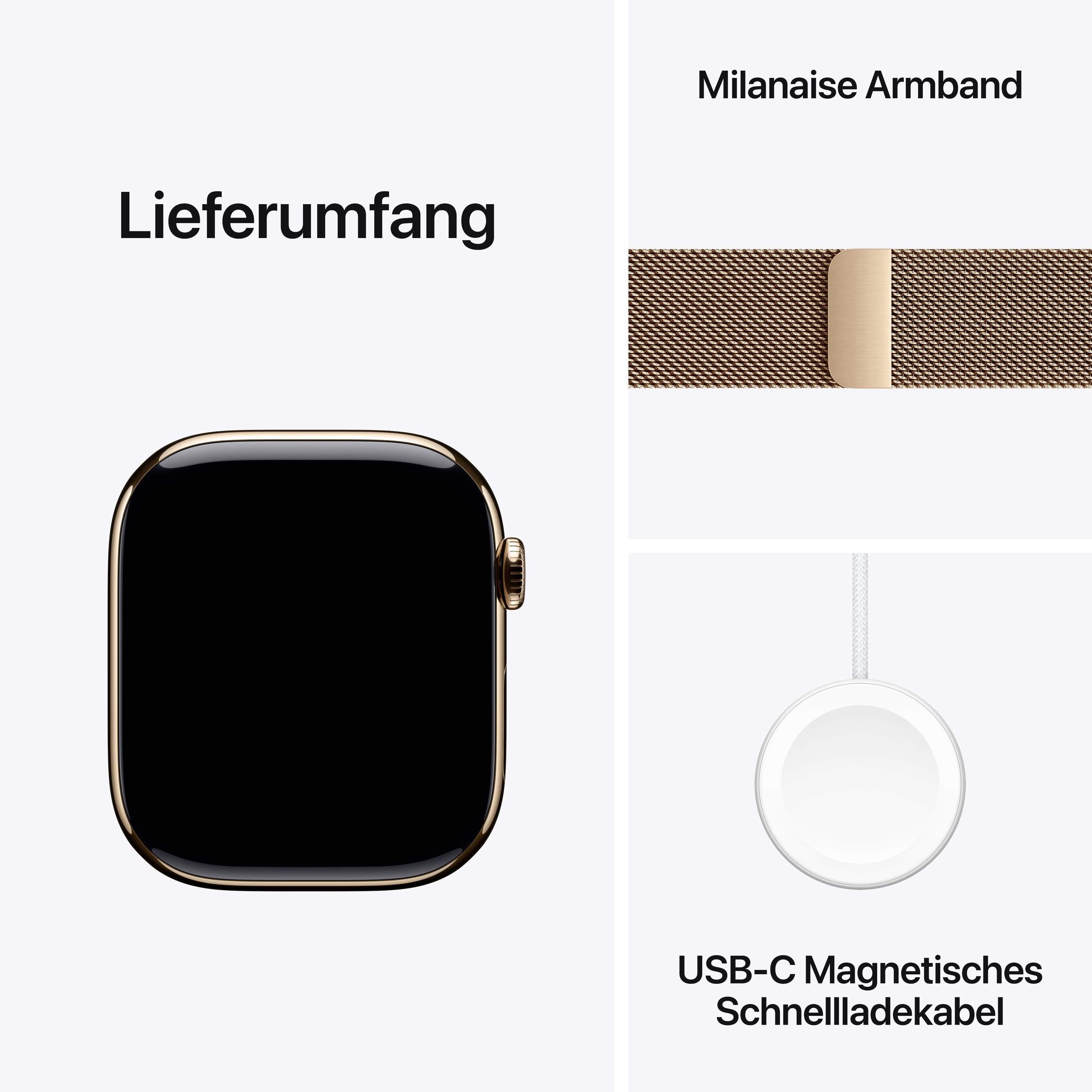 'Lieferumfang': Bild zeigt eine Smartwatch, ein Milanaise Armband und ein USB-C magnetisches Schnellladekabel.