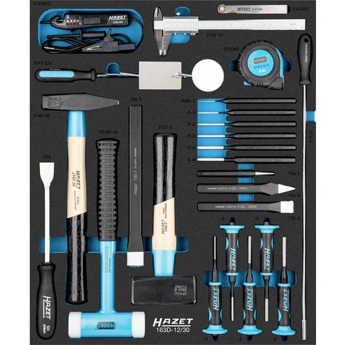 Hazet 163D-12/30 Werkzeugset