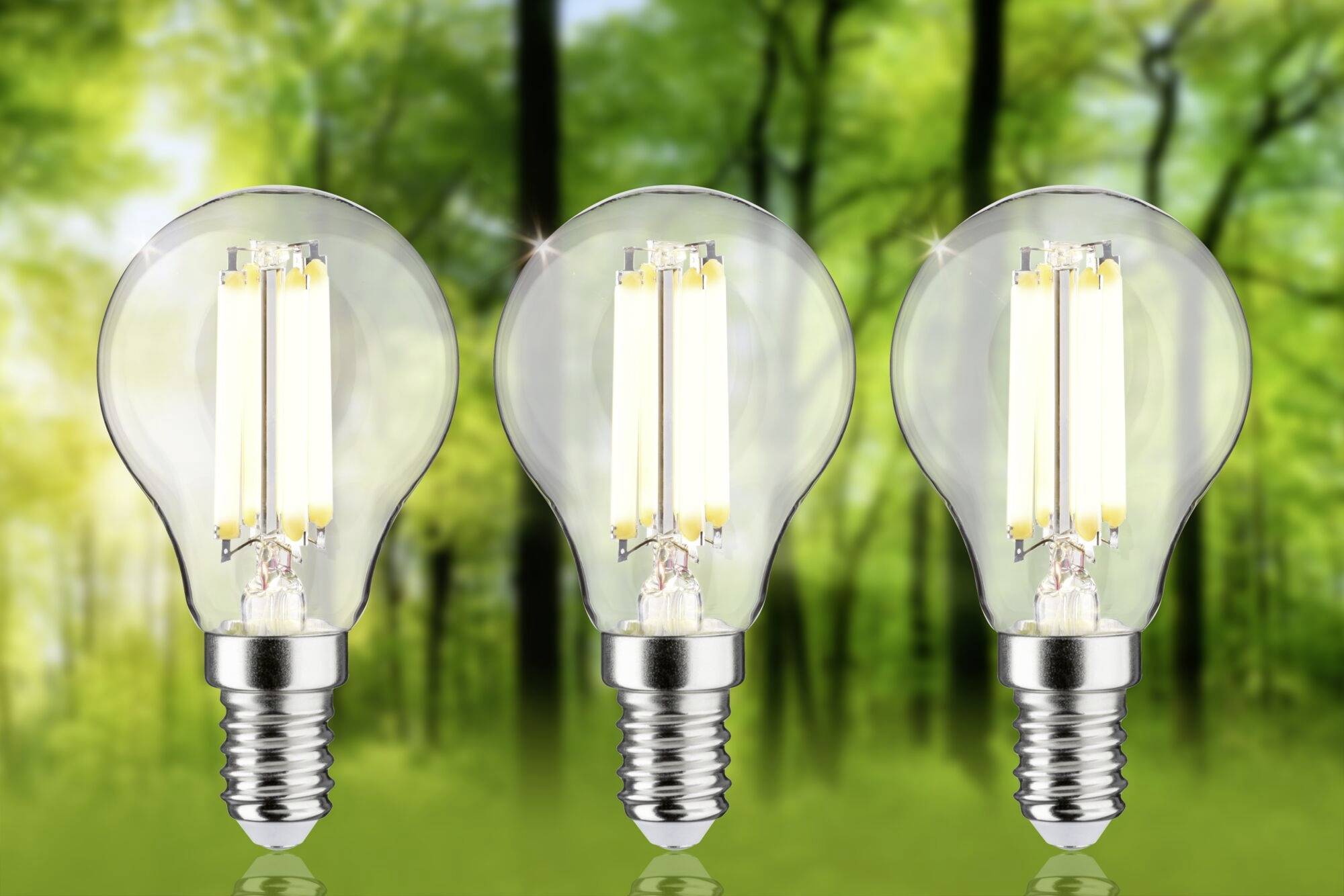 Drei Glühbirnen leuchten vor einem unscharfen grünen Waldhintergrund, symbolisieren Energieeinsparung und Umweltfreundlichkeit.
