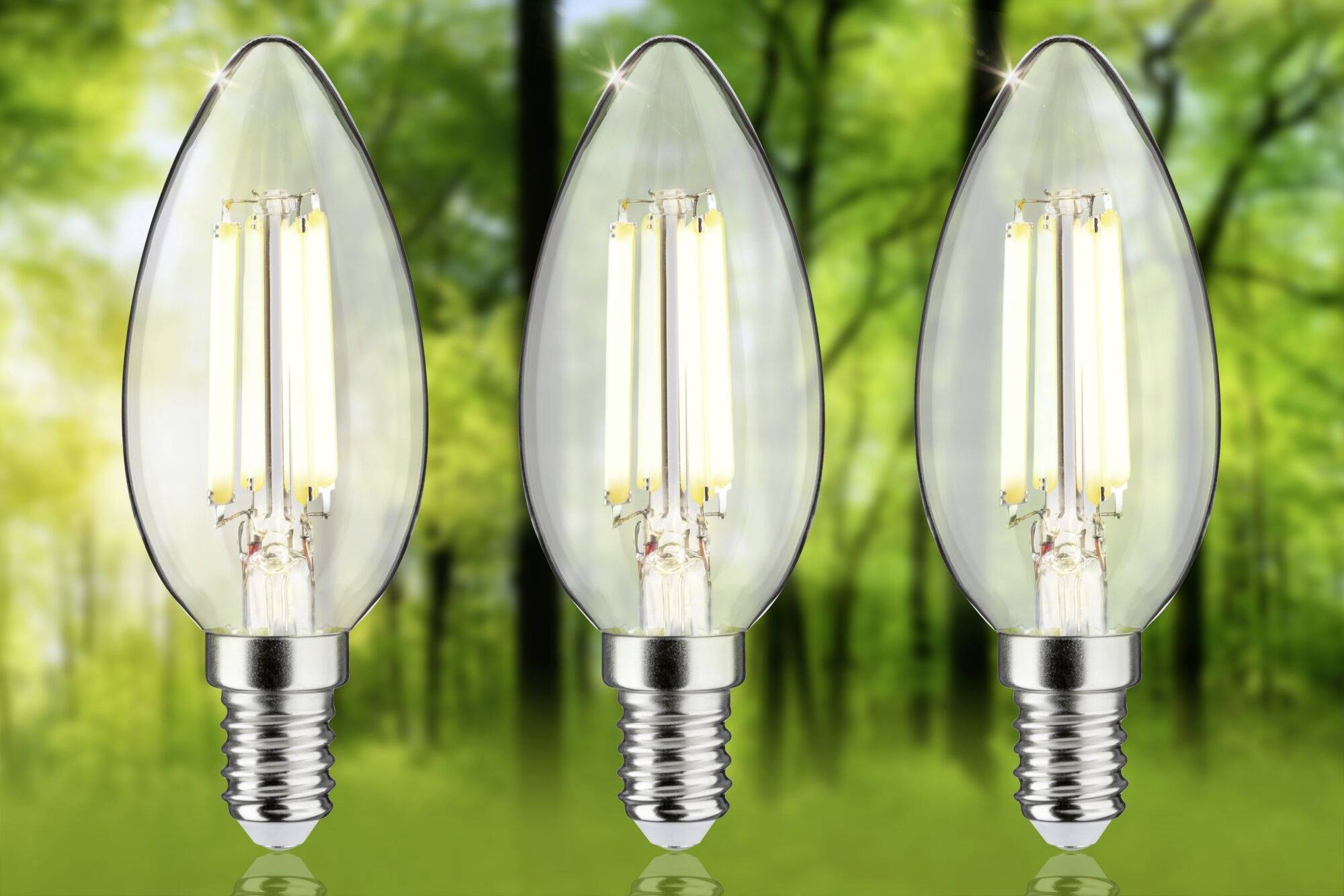 Drei stromsparende LED-Glühbirnen in Tropfenform vor einem verschwommenen Waldhintergrund, der Nachhaltigkeit symbolisiert.