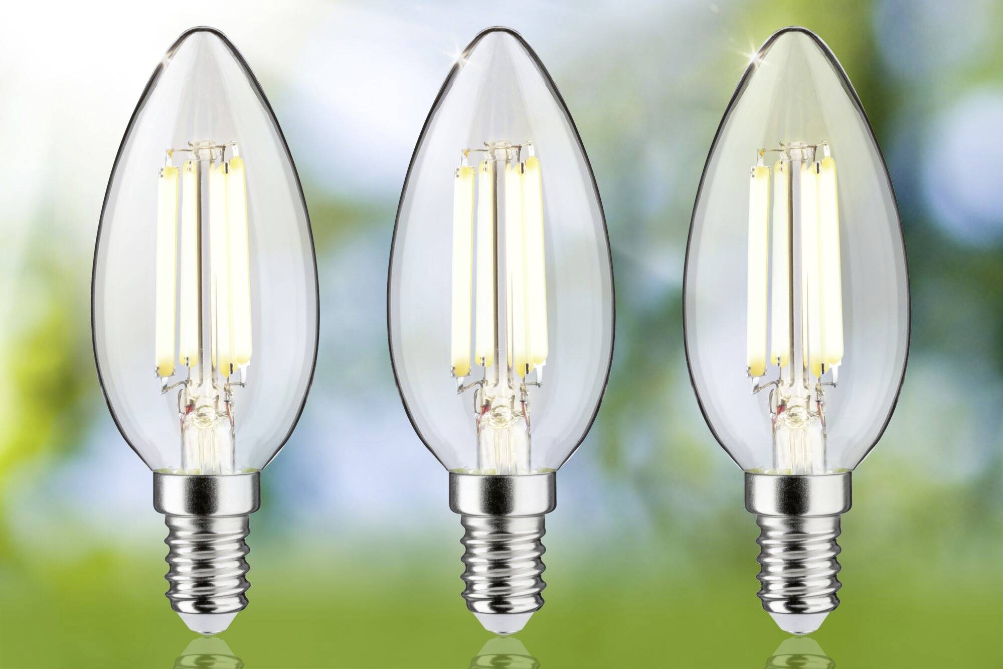 Drei LED-Glühbirnen in Kerzenform leuchten vor einem unscharfen, grünen Hintergrund, der Natur andeutet.